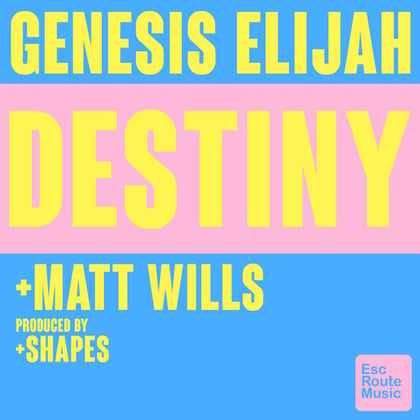 Destiny album by Conrad Subs, Genesis Elijah & Matt Wills - Drum and Bass Cover Art