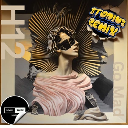 Go Mad (Stodius Remix) album by Stodius & H12 - Drum and Bass Cover Art