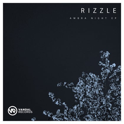 Ambra Nights EP album by Rizzle - Drum and Bass Cover Art