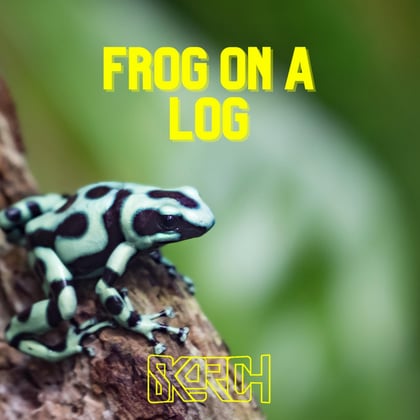 Frog on a Log album by Skorch - Drum and Bass Cover Art