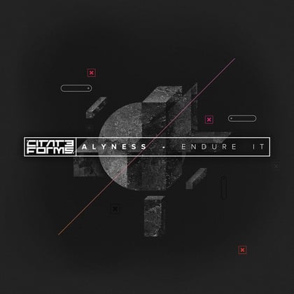 Endure It album by Alyness - Drum and Bass Cover Art