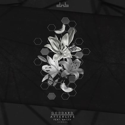 Afterlife (feat. Bailey) album by goddard. - Drum and Bass Cover Art