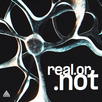 real.or.not album by skantia - Drum and Bass Cover Art