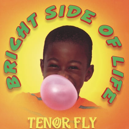 Bright Side Of Life album by Tenor Fly - Drum and Bass Cover Art