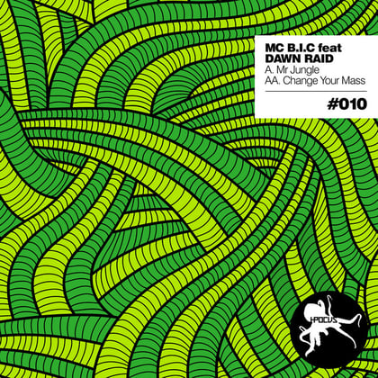 Mr. Jungle / Change Your Mass album by Dawn Raid - Drum and Bass Cover Art