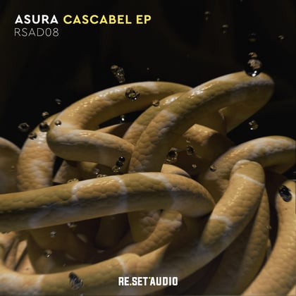 Cascabel album by Asura - Drum and Bass Cover Art