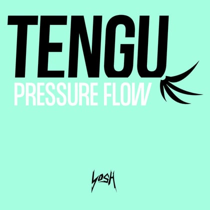 Pressure Flow album by Tengu - Drum and Bass Cover Art
