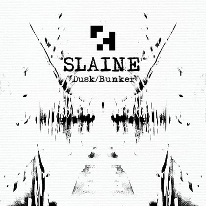 Dusk album by Slaine - Drum and Bass Cover Art