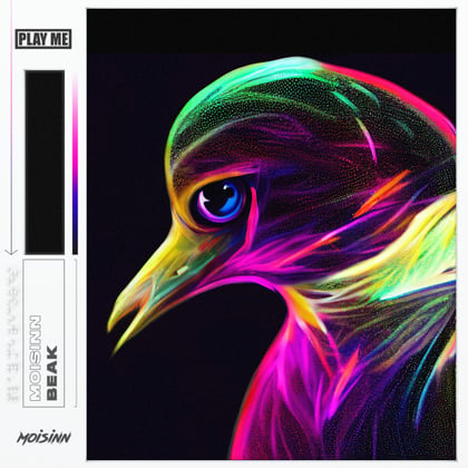 Beak album by Moisinn - Drum and Bass Cover Art