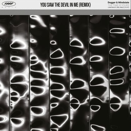 You Saw The Devil In Me (Remix) album by Dogger & Mindstate - Drum and Bass Cover Art