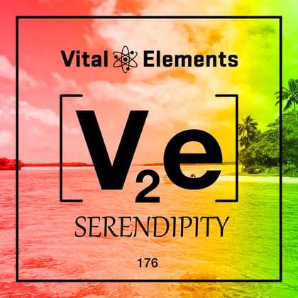 Serendipity album by Vital Elements - Drum and Bass Cover Art