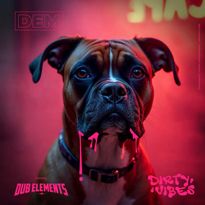 Dirty Vibes album by Dub Elements - Drum and Bass Cover Art