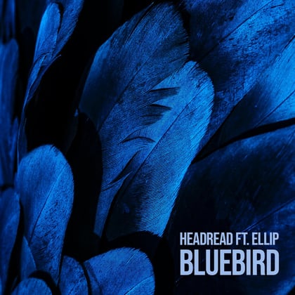 Bluebird album by HeadRead & Limewax - Drum and Bass Cover Art