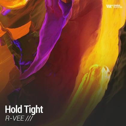 Hold Tight album by R-Vee - Drum and Bass Cover Art