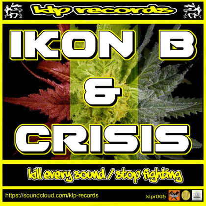 Kill Every Sound / Stop Fighting album by Ikon-B - Drum and Bass Cover Art