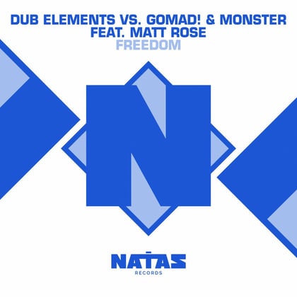 Freedom album by Dub Elements - Drum and Bass Cover Art