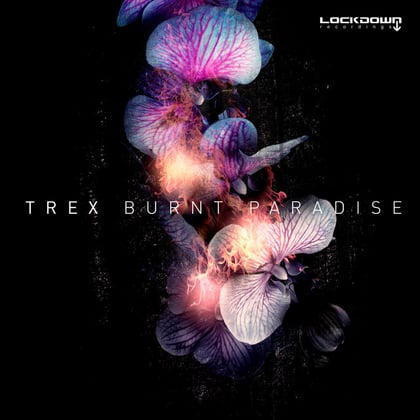Burnt Paradise album by Teej & Trex - Drum and Bass Cover Art