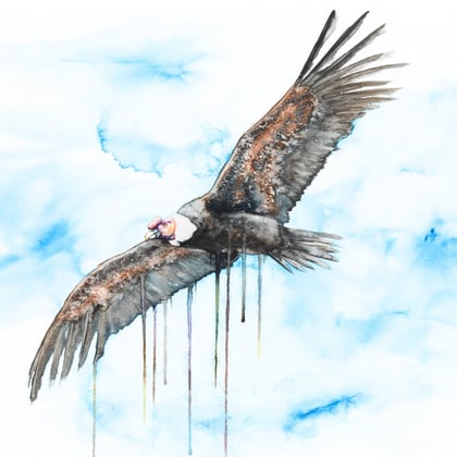 Kuntur EP album by Dolenz - Drum and Bass Cover Art