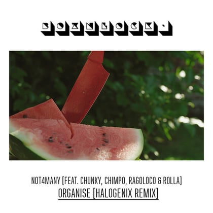 Organise (Halogenix Remix) album by Halogenix - Drum and Bass Cover Art