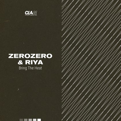 Bring the Heat album by ZeroZero & Riya - Drum and Bass Cover Art