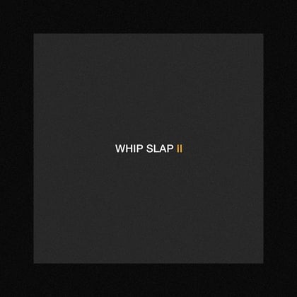 Whip Slap ll album by Dimension - Drum and Bass Cover Art
