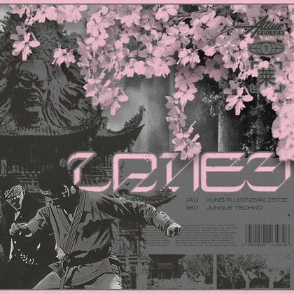 Kung Fu Minimalistic / Jungle Techno album by Laney - Drum and Bass Cover Art