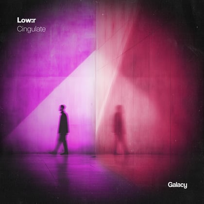Cingulate album by Low:r & Malizah - Drum and Bass Cover Art