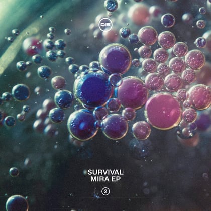 Mira EP - Part 2 album by Survival - Drum and Bass Cover Art