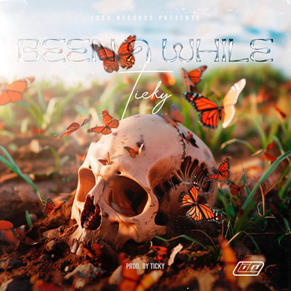 Been A While album by Ticky - Drum and Bass Cover Art