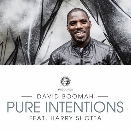 Pure Intentions album by David Boomah - Drum and Bass Cover Art