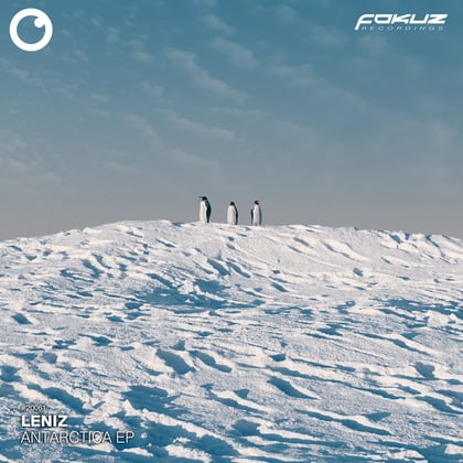 Antarctica EP album by Leniz - Drum and Bass Cover Art