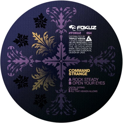 Rock Steady EP album by Alibi & Command Strange - Drum and Bass Cover Art