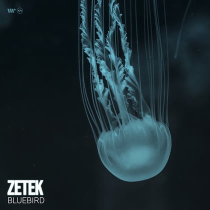 Bluebird album by Zetek - Drum and Bass Cover Art