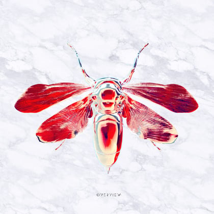 Pattern (VISLA Remix) album by Wingz, YAANO & VISLA - Drum and Bass Cover Art