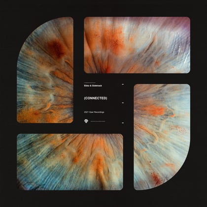 Connected album by Ekko & Sidetrack - Drum and Bass Cover Art