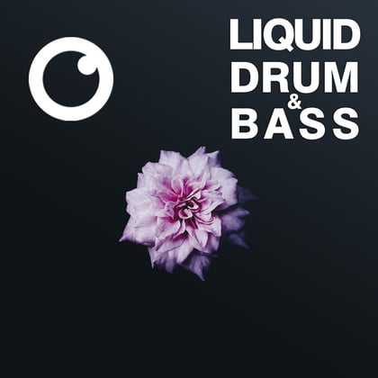 Liquid Drum & Bass Sessions #52 album by Dreazz - Drum and Bass Cover Art