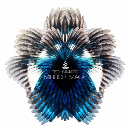 Mirror Image album by Monrroe & Technimatic - Drum and Bass Cover Art