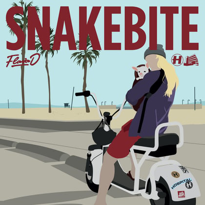 Snakebite / Springloaded album by Flava D - Drum and Bass Cover Art