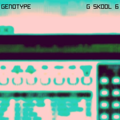 G Skool Vol 6 album by Genotype - Drum and Bass Cover Art