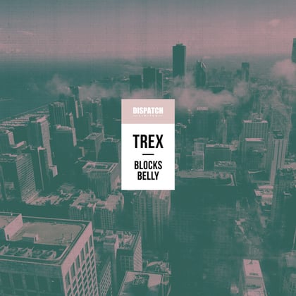 Blocks / Belly album by Teej & Trex - Drum and Bass Cover Art