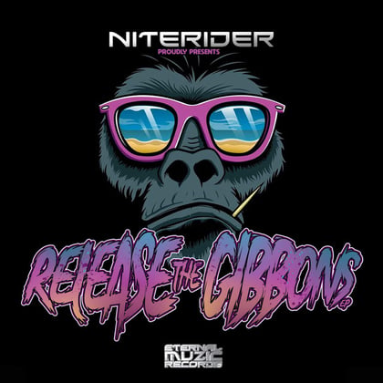 Release the Gibbons album by Niterider - Drum and Bass Cover Art