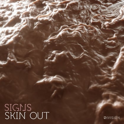 Skin Out album by Signs - Drum and Bass Cover Art