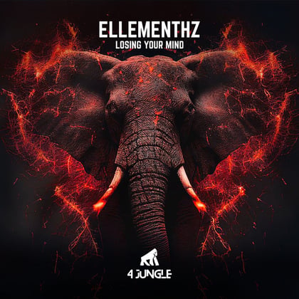 Losing Your Mind album by Ellementhz - Drum and Bass Cover Art