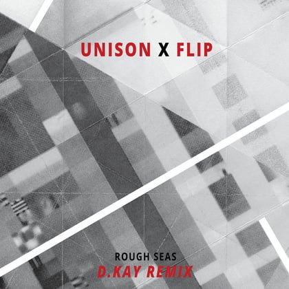 Rough Seas (Dkay Remix) album by Dkay - Drum and Bass Cover Art