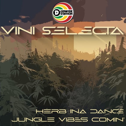 Herb ina dance album by Viniselecta - Drum and Bass Cover Art