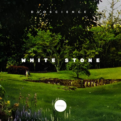 White Stone (Original) album by Duoscience - Drum and Bass Cover Art