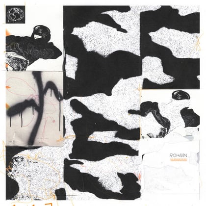 Naananaana album by Rohaan & Pe:te - Drum and Bass Cover Art