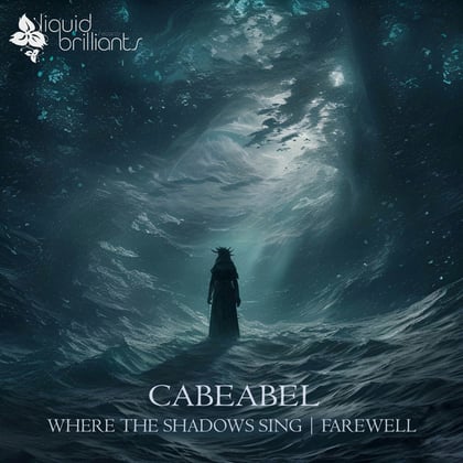 Farewell album by Cabeabel - Drum and Bass Cover Art