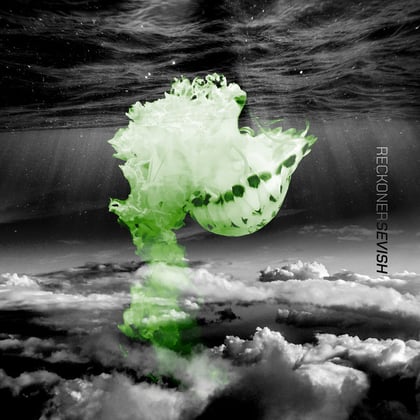 Reckoner album by Sevish - Drum and Bass Cover Art