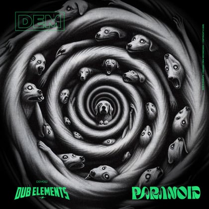 Paranoid album by Dub Elements - Drum and Bass Cover Art